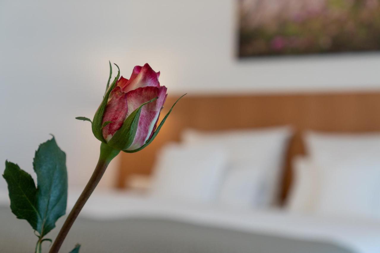 Hotel Elysee زيلينغنشتات المظهر الخارجي الصورة
